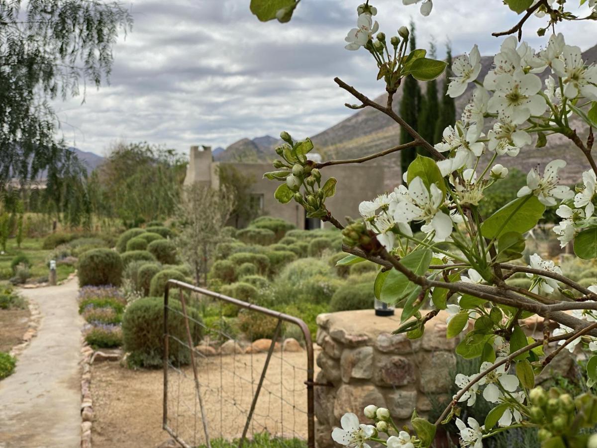 The Olive House, Prince Albert Extérieur photo